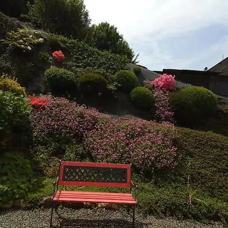 Les Hortensias *