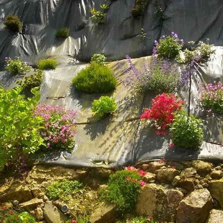 Les Hortensias Holiday home